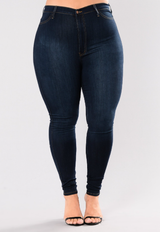 Plus Size Women  Clothing  High Waist Stretch Slim  Women  Denim Skinny Pants