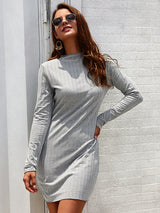 Women’s Mock Neck Long Sleeve Style With A Slight Flare Mini Dress