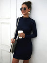 Women’s Mock Neck Long Sleeve Style With A Slight Flare Mini Dress