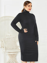 Women's Solid Color Plus Size Turtleneck Long Sleeve Curves Dress