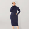 Women's Solid Color Plus Size Turtleneck Long Sleeve Curves Dress