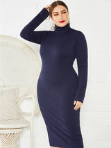 Women's Solid Color Plus Size Turtleneck Long Sleeve Curves Dress