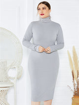 Women's Solid Color Plus Size Turtleneck Long Sleeve Curves Dress