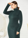 Women's Solid Color Plus Size Turtleneck Long Sleeve Curves Dress