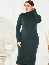 Women's Solid Color Plus Size Turtleneck Long Sleeve Curves Dress