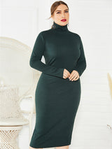 Women's Solid Color Plus Size Turtleneck Long Sleeve Curves Dress