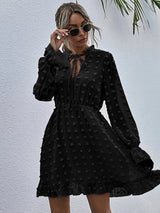 Women's Solid Color Tie-neck Clip-dot Chiffon Ruffle A-line Mini Dress