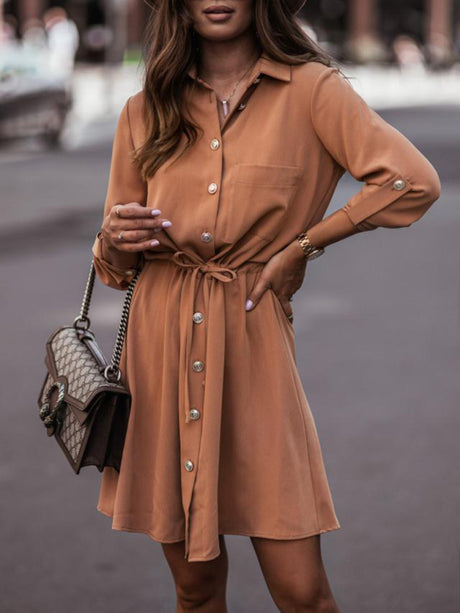 Women's Long Sleeve Button Front Shirtdress In A Solid Color